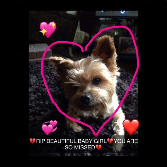 🎀Meet your Posher🎀 - Picture 3 of 8